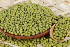 宝宝吃绿豆瓜,绿豆瓜营养食谱分享