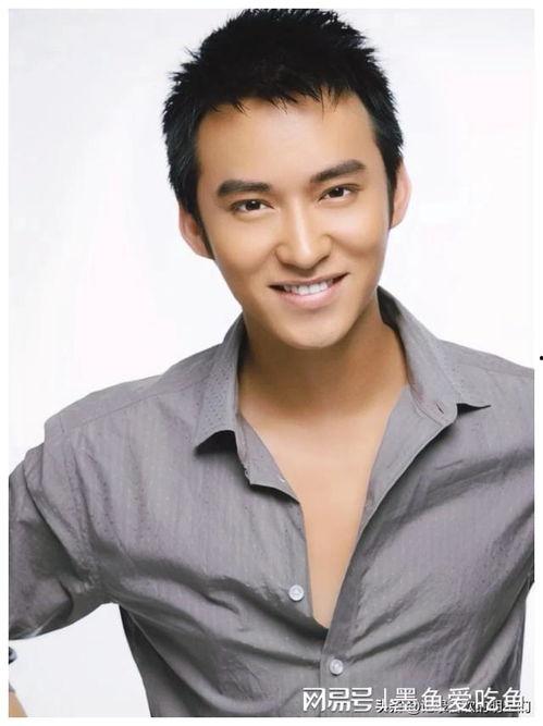 稳重成熟男明星,揭秘男明星的成熟魅力之路