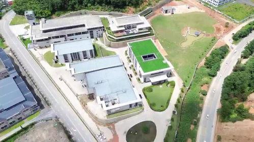 舞阳人工湖网红打卡地,网红打卡地，水光潋滟映繁华