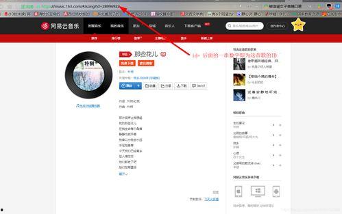 如何把歌曲加入头条里面,打造个性化内容体验