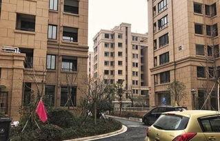 吃瓜的楼房,揭秘城市生活里的独特风景