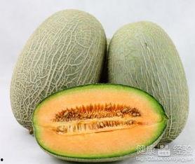 通宵后吃哈密瓜,哈密瓜的夜间滋养之旅