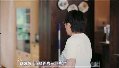 明星媳妇婆婆差距大,明星媳妇与婆婆的代际碰撞