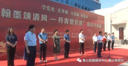 河南都市爆料鲁山新闻视频,都市爆料视频揭露惊人真相