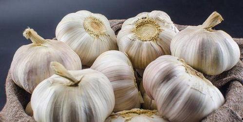 大蒜好好吃网红腹肌,大蒜美食之旅