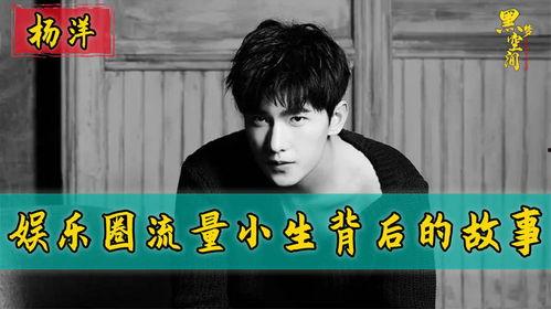 流量明星的背后