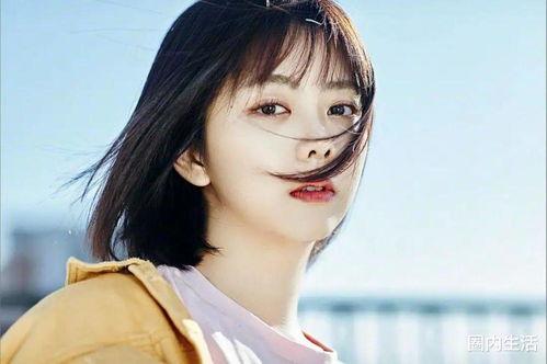 带平字明星,揭秘带“平”字明星的璀璨人生