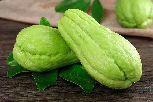 吃佛手瓜的,探寻绿色健康的餐桌佳肴