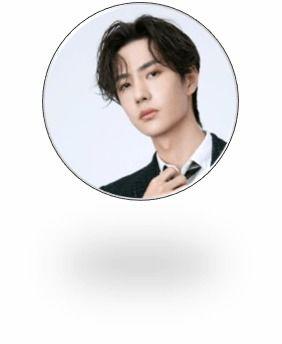 影视明星单,影视明星的璀璨人生