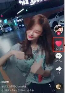 网红小毛的视频,揭秘生活趣味瞬间