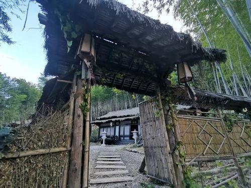 网红图书馆取景图,探寻城市角落的静谧阅读天堂