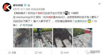 虫子爆料视频,揭秘视频背后的惊人真相