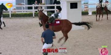 女明星摔下马,马失前蹄！女明星惊险摔马瞬间引关注