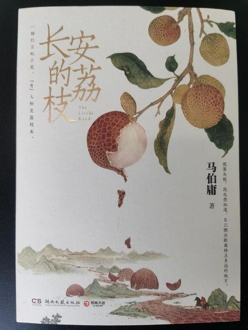 杜甫今日头条消息,千古诗圣杜甫，穿越时空的文学传奇