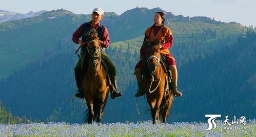 远去的牧歌爆料视频,揭秘视频背后的感人故事