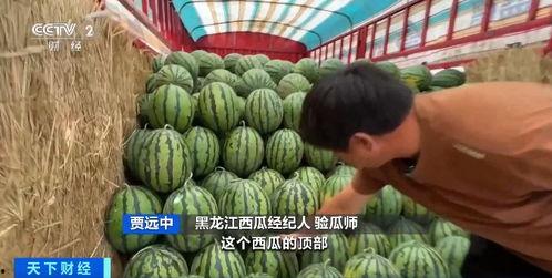 吃瓜发布页入口,带你走进热门话题的幕后世界