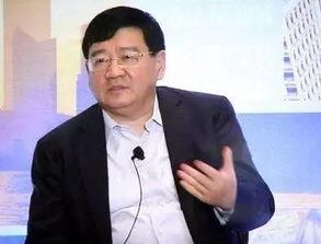 爆料徐小平视频大全集,揭秘创业导师的智慧与风采