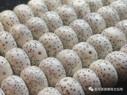 怎样看菩提老料好坏,辨别优劣的关键要素