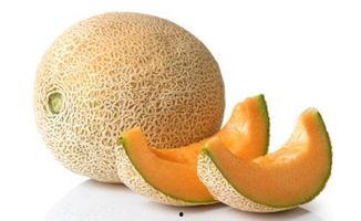 天气冷吃哈密瓜,寒冷天气中的甜蜜选择”