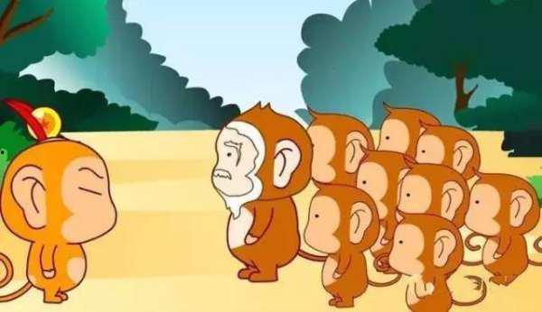 淡定吃瓜小故事,一场轻松幽默的职场风云