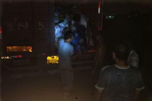 凌晨吃瓜群众,揭秘深夜娱乐圈幕后故事