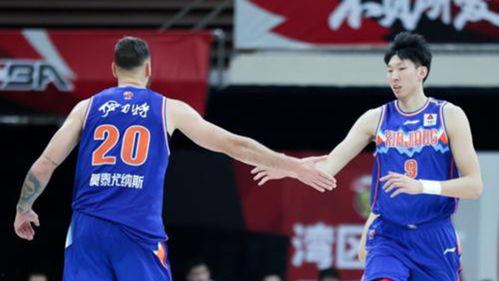 杨鸣小黑吃瓜鸟,一场欢乐的跨界互动