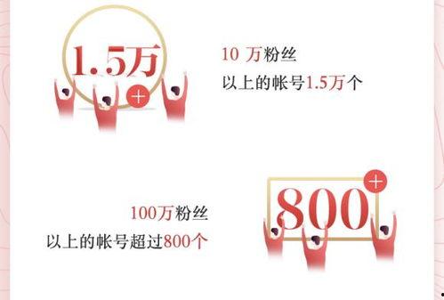 今日头条网络作者排名,揭秘热门创作者背后的故事